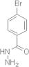 4-Bromobenzoic acid hydrazide