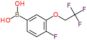 [4-fluoro-3-(2,2,2-trifluoroethoxy)phenyl]boronic acid