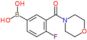 [4-fluoro-3-(morpholine-4-carbonyl)phenyl]boronic acid