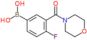 B-[4-Fluoro-3-(4-morpholinylcarbonyl)phenyl]boronic acid