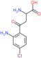 2-amino-4-(2-amino-4-chlorophenyl)-4-oxobutanoic acid