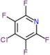 4-chloro-2,3,5,6-tetrafluoropyridine