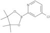 4-Chloro-2-(4,4,5,5-tetramethyl-1,3,2-dioxaborolan-2-yl)pyridine