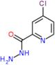 4-Chloropyridine-2-carbohydrazide