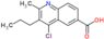 4-chloro-2-methyl-3-propylquinoline-6-carboxylic acid