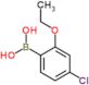 (4-chloro-2-ethoxyphenyl)boronic acid