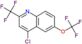 4-chloro-6-(trifluoromethoxy)-2-(trifluoromethyl)quinoline