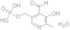 Pyridoxal 5-phosphate monohydrate