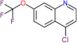 4-chloro-7-(trifluoromethoxy)quinoline