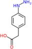 (4-hydrazinylphenyl)acetic acid