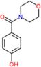 4-(morpholin-4-ylcarbonyl)phenol