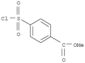 Benzoic acid,4-(chlorosulfonyl)-, methyl ester