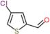 4-Chloro-2-thiophenecarboxaldehyde