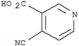 3-Pyridinecarboxylicacid, 4-cyano-