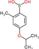 [2-methyl-4-(1-methylethoxy)phenyl]boronic acid