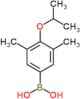 [3,5-dimethyl-4-(1-methylethoxy)phenyl]boronic acid