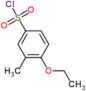 4-ethoxy-3-methylbenzenesulfonyl chloride