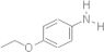 4-Ethoxyaniline