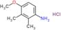 4-methoxy-2,3-dimethyl-aniline hydrochloride