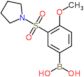 (4-methoxy-3-pyrrolidin-1-ylsulfonyl-phenyl)boronic acid