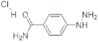 4-Hydrazino-benzaMide HCl