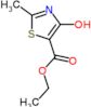 5-Thiazolecarboxylic acid, 4-hydroxy-2-methyl-, ethyl ester