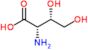 4-Hydroxy-L-threonine