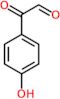 (4-hydroxyphenyl)(oxo)acetaldehyde