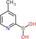 (4-methylpyridin-2-yl)boronic acid