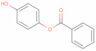 1,4-Benzenediol, 1-benzoate