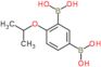 B,B′-[4-(1-Methylethoxy)-1,3-phenylene]bis[boronic acid]