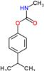 4-(propan-2-yl)phenyl methylcarbamate