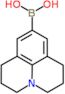 2,3,6,7-tetrahydro-1H,5H-pyrido[3,2,1-ij]quinolin-9-ylboronic acid