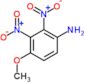 4-methoxy-2,3-dinitroaniline