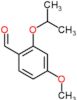 4-methoxy-2-(propan-2-yloxy)benzaldehyde
