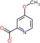 4-methoxypyridine-2-carboxylic acid