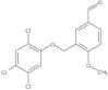 4-Methoxy-3-[(2,4,5-trichlorophenoxy)methyl]benzaldehyde