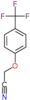 [4-(trifluoromethyl)phenoxy]acetonitrile