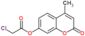 4-methyl-2-oxo-2H-chromen-7-yl chloroacetate