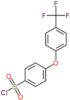 4-[4-(trifluoromethyl)phenoxy]benzenesulfonyl chloride