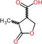 4-methyl-5-oxotetrahydrofuran-3-carboxylic acid