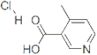 4-Methylnicotinic acid hydrochloride