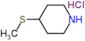 4-(methylsulfanyl)piperidine hydrochloride (1:1)