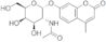 4-METHYLUMBELLIFERYL 2-ACETAMIDO-2-DEOXY-ALPHA-D-GALACTOPYRANOSIDE