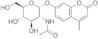 4-methylumbelliferyl N-acetyl-A-D-glucosaminide