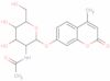 4-Methylumbelliferyl-N-acetyl-§-D-galactosaminide