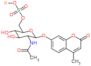 2H-1-Benzopyran-2-on, 7-[[2-(acetylamino)-2-desoxy-6-O-sulfo-α-D-glucopyranosyl]oxy]-4-methyl-, Mo…