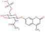 [5-acetamido-3,4-dihydroxy-6-(4-methyl-2-oxo-chromen-7-yl)oxy-tetrahydropyran-2-yl]methoxysulfonyloxypotassium