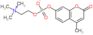 4-methyl-2-oxo-2H-chromen-7-yl 2-(trimethylammonio)ethyl phosphate