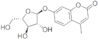 4-methylumbelliferyl A-L-arabino-*furanoside